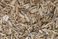 biomass boilers Longscales